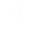 Gadgetcity Logo