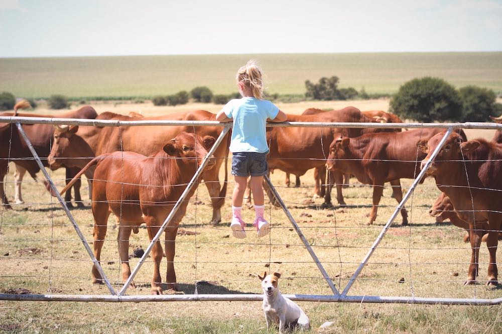 How CB radios are helpful for farming Gadgetcity Blog on Latest